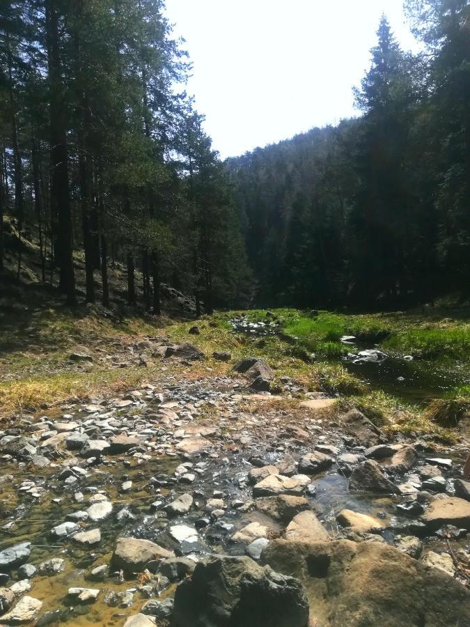 Katun Apartmani & Spa Divčibare Esterno foto